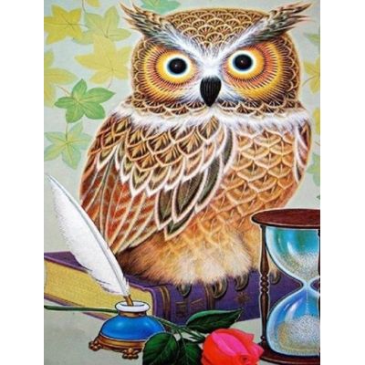 Owl Diamond Painting 30×40 cm